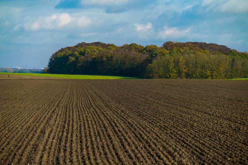 georreferenciamento de imovel rural ate quantos hectares