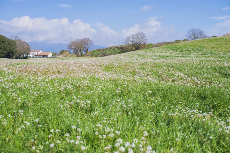 georreferenciamento de imovel rural escritorio advocacia