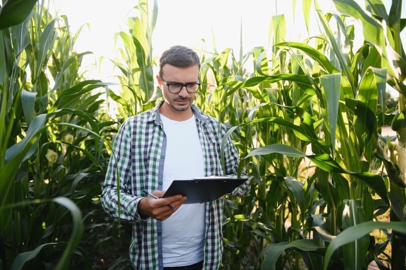 lei uso ocupacao solo agronomista